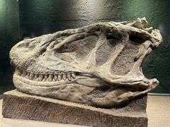 -自贡恐龙博物馆