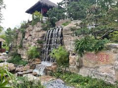 -东平国家森林公园