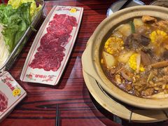 -沙胆彪炭炉牛杂煲(上海日月光广场店)