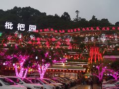 -枇杷园食为鲜火锅(南山店)