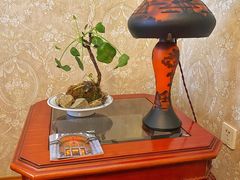 -大可堂普洱茶馆(襄阳南路馆)