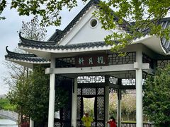 -映月湖公园