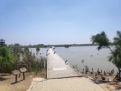 -盐城丹顶鹤湿地生态旅游区
