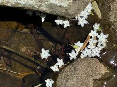 -众神白水涧景区