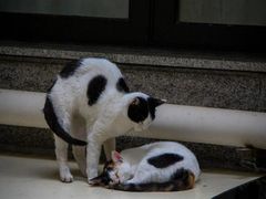 -北京市陈经纶中学