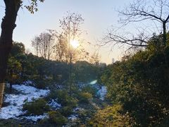 -合肥野生动物园