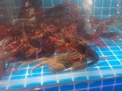 -韩胜·料理级自助烤肉海鲜火锅(财富港店)