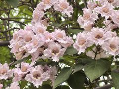 -仁和公园(顺义区)