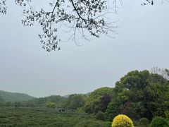 -中国茶叶博物馆(双峰馆区)