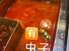-红鼎坊·老成都火锅(新南门店)