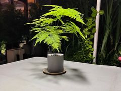 -静颐茶馆·素食(龙华店)
