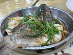 -紫金客家菜·石锅猪肚鸡(十年店)