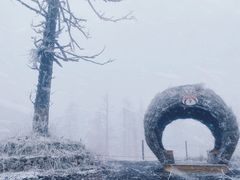 -瓦屋山景区