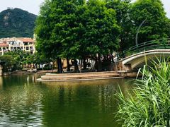 -大梅沙海滨公园