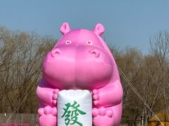-圣露庄园·亲子活动乐园·露营·团建婚礼