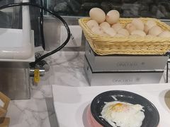 -裕龙汤泉