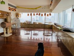 -Catmate·猫肥家润(金润铂宫店)