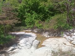 -王顺山国家森林公园