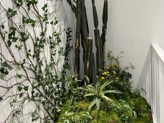 -大树餐厅(红旗街万达店)