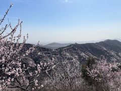 -香山公园