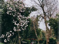 -望江楼公园