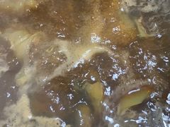 -甲鱼火锅(北村小区店)