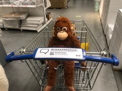 -宜家家居(西安未央商场店)