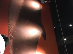 -里岛烤鱼(东港凯虹广场店)