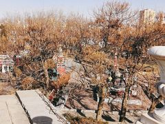 -北京世界公园