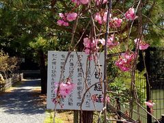 -清凉寺
