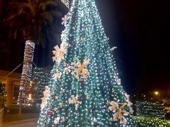 -舟山希尔顿酒店