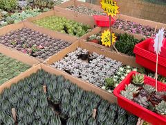 -海吉星国际农产品物流管理有限公司