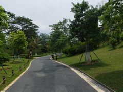 -东莞植物园