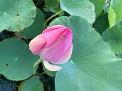 -天津东丽湖风景区