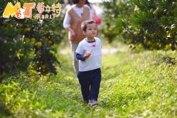 点击看大图 -前小桔亲子创意农场·草莓采摘·露营烧烤