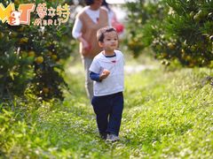 -前小桔亲子创意农场·草莓采摘·露营烧烤