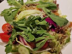田园蔬菜沙拉-桂小厨广西菜(万象城店)