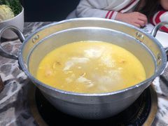 -禄婶鸡煲·打边炉