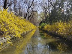 -洛阳市隋唐城遗址植物园
