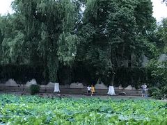 -西南交通大学(九里校区)