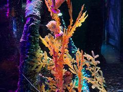 -沈阳海洋探索中心