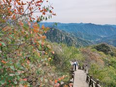 -大岭沟猕猴桃谷风景区