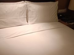 -石家庄万象天成假日酒店