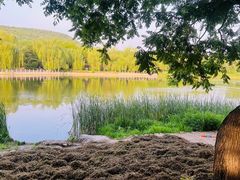 -国家植物园南园