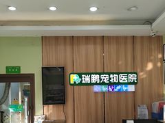 -瑞鹏宠物医院·夜间急症·心超·猫科(祖庙分店)