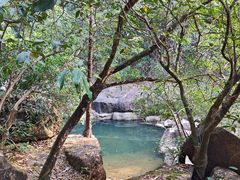 -广州白江湖森林公园