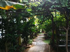 -呀路古热带植物园