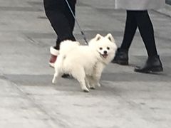 -炙忧烤肉屋(中国铁建广场店)