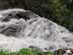 -莫里热带雨林景区