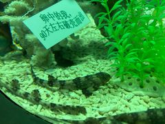 -北京海洋馆